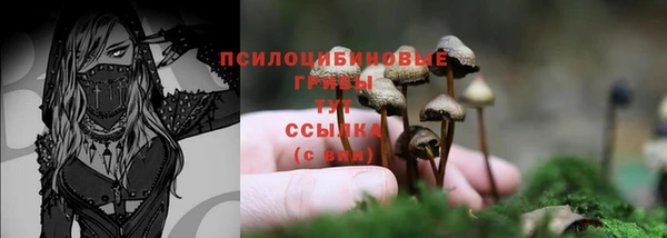 герыч Балахна