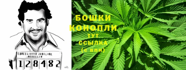 стаф Сатка