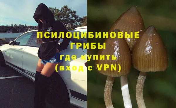 стаф Сатка