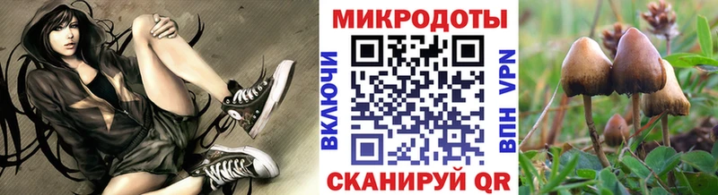 Галлюциногенные грибы MAGIC MUSHROOMS Заозёрск